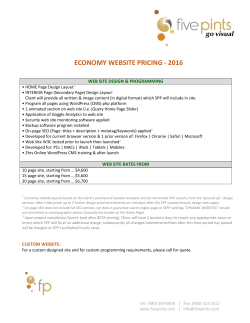 economy website pricing - 2016