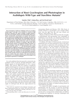 Interaction of Root Gravitropism and Phototropism