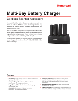 Multi-Bay Battery Charger