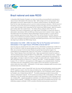 Brazil national and state REDD