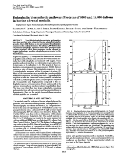 Enkephalin biosynthetic pathway: Proteins of 8000 and 14,000 daltons