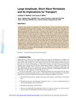 Large amplitude, short wave peristalsis and its