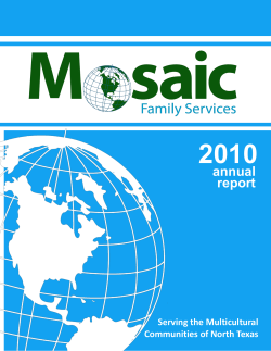 2010 Annual Report - Mosaic Family Services