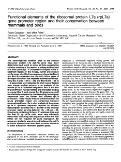 Functional elements of the ribosomal protein L7a