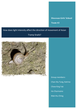 How does light intensity affect the direction of movement of Asian