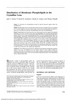 Distribution of membrane phospholipids in the crystalline lens.