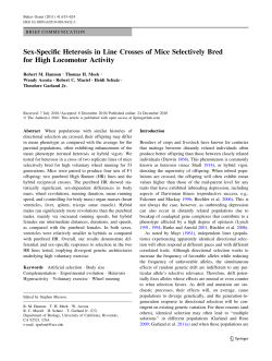 Sex-Specific Heterosis in Line Crosses of Mice Selectively Bred for