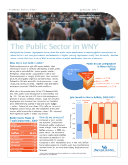 The Public Sector in WNY