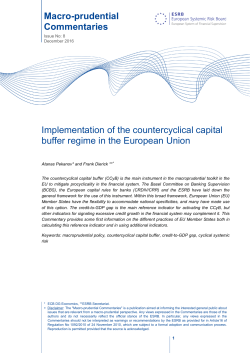 Macroprudential Commentaries issue 8