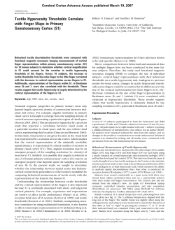 duncan-cerebcortex07..