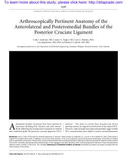 Arthroscopically Pertinent Anatomy of the Anterolateral and