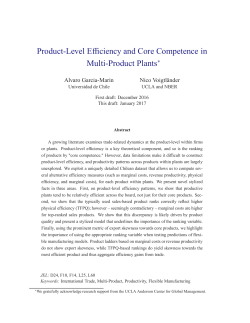 Product-Level Efficiency and Core Competence in Multi