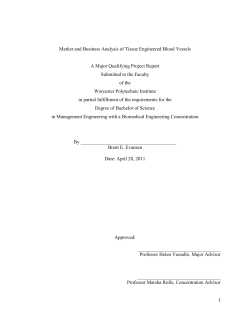 Market and Business Analysis of Tissue Engineered Blood Vessels