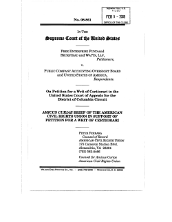Brief amicus curiae of American Civil Rights Union
