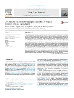 Low stomatal sensitivity to vapor pressure deficit in irrigated