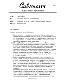 Memo template for 12 point Times New Roman