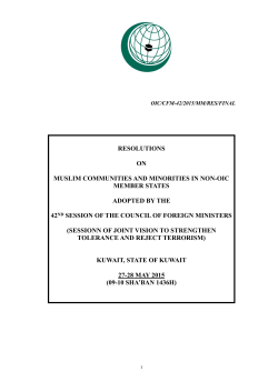 Minority Resolutions