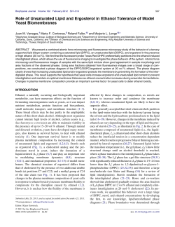 Role of Unsaturated Lipid and Ergosterol in Ethanol Tolerance of