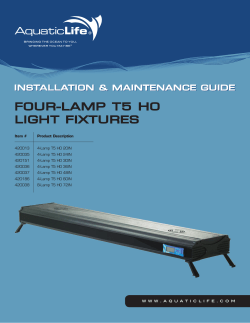 four-lamp t5 ho light fixtures