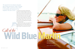 Fonda Huizenga feature