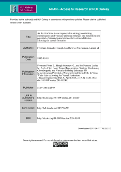 Title An in vitro bone tissue regeneration strategy combining