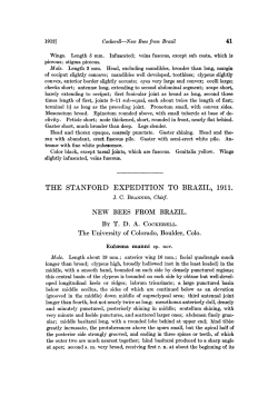 the stanford expedition to brazil, 1911.