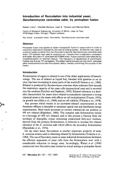 Introduction of flocculation into industrial yeast, Saccharomyces