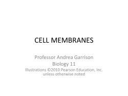 cell membranes - Bakersfield College