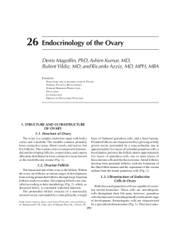 Endocrinology of the Ovary