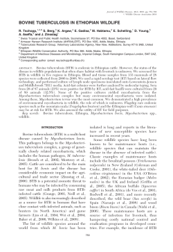 bovine tuberculosis in ethiopian wildlife