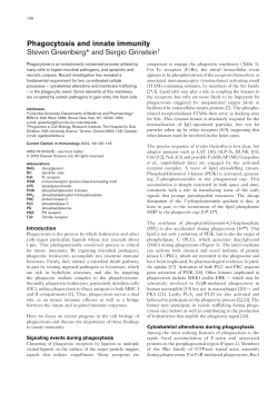 Phagocytosis and innate immunity Steven Greenberg* and Sergio