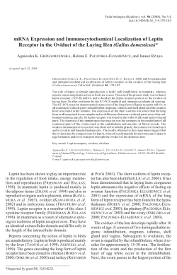 mRNA Expression and Immunocytochemical