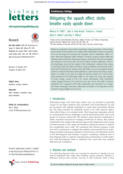 Mitigating the squash effect: sloths breathe easily upside down