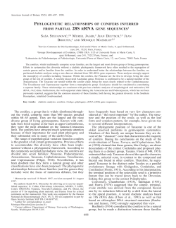 phylogenetic relationships of conifers inferred from partial 28s rrna