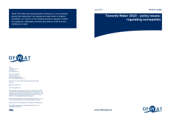 Towards Water 2020 – policy issues: regulating monopolies