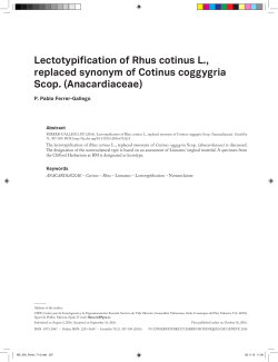 Lectotypification of Rhus cotinus L., replaced synonym of Cotinus