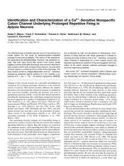 ldentif ication and Characterization of a Ca2+