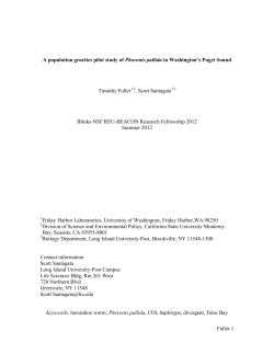Fuller 1 A population genetics pilot study of Phoronis pallida in