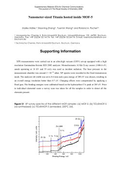 Supplementary Material (ESI)