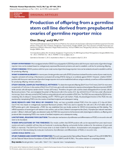 Production of offspring from a germline stem cell line derived from
