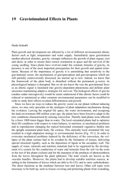 19 Gravistimulated Effects in Plants