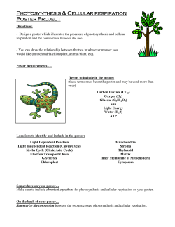 Photosynthesis and Cellular Respiration Poster Project