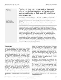 Forging the ring: from fungal septins` divergent roles