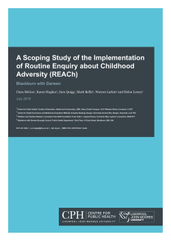 A Scoping Study of the Implementation of Routine Enquiry about