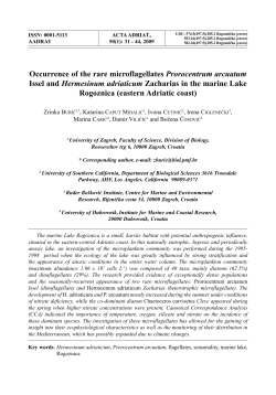 Occurrence of the rare microflagellates Prorocentrum arcuatum Issel
