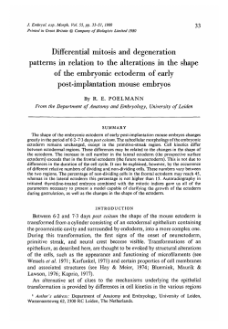Differential mitosis and degeneration patterns in