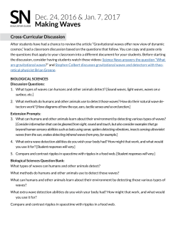Discussion prompts
