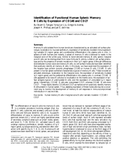 Identification of Functional Human Splenic Memory B Cells by