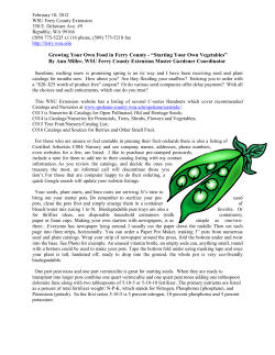Growing Your Own Food in Ferry County - &ldquo;Starting
