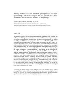 Testing Articulata versus Ecdysozoa: insights from cladistic